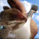 olH_m1Zs9_lTab077eLZEONiMZNc