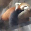 用户头标