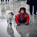 达***）