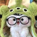 user icon
