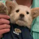 用户88577308的头像-资灵