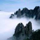 wx_五缘64
