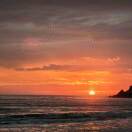 陈¹ ¹的头像-熵减岛