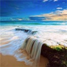 长风破浪（Mike）