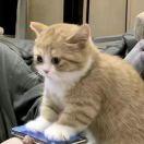 李**