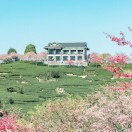 花开时节