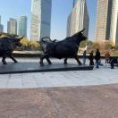 风和日丽