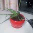 A K Q 🎉 老三🎉