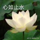 杨先生的头像