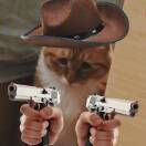 别问我去问神奇海螺的头像-风行者社区