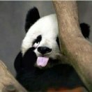 A😏暖君😜的头像-祁梦博客