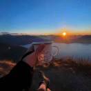 一枚老嫂子（心电刘丽）