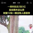 吴兵18200594109