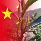 阿童木的头像-博士钣金 - www.bsbanjin.com