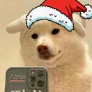 ctt1b的头像-棉花糖会员站