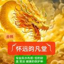 专业免疫系统疾病（虚实结合）