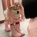大橘头像