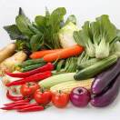 A小科 （代收代卖）