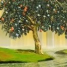 吴百凤13759714569