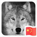 poster avatar