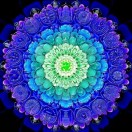 相忘于有余（17786967538）