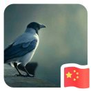 珑的头像