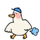 Profile picture of .principle