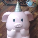 王运鸿
