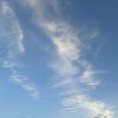 lee_837