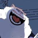 想要一个自己玩