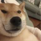 刘成迅