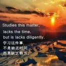 用户头像: