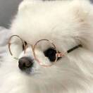 椰奶的头像-秀琴曲谱网