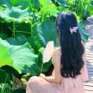 一路繁花