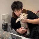 Somerset Court转租&房东直租