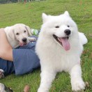 所谓的头像-博士钣金 - www.bsbanjin.com