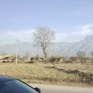 大大的脑袋小小的疑惑头像