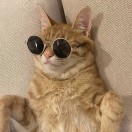 MAXIMUM的头像-cg男孩