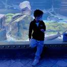 ∮Æ颖∮的钢琴谱