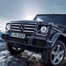 ♏️  张小胖。つ