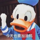 大表哥