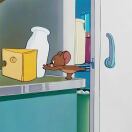 Profile picture of 2911295576