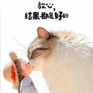 赵小花