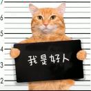 杨先生的头像