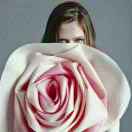 🐛🎵🐛💰🐛🎵🐛