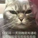 刘先生的头像