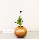 宁静