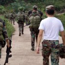 桐之賦（吴颖军）