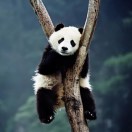 孙先生的头像
