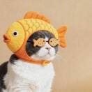 閆娜娜🐯的头像-熵减岛